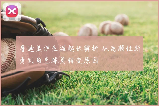 鲁迪盖伊生涯起伏解析 从高顺位新秀到角色球员转变原因