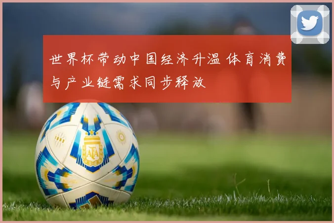 世界杯带动中国经济升温 体育消费与产业链需求同步释放
