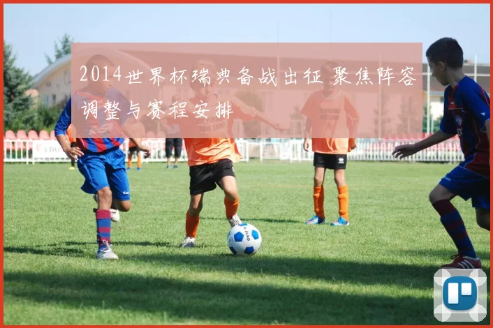 2014世界杯瑞典备战出征 聚焦阵容调整与赛程安排