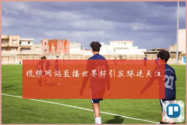 视频网站直播世界杯引发球迷关注