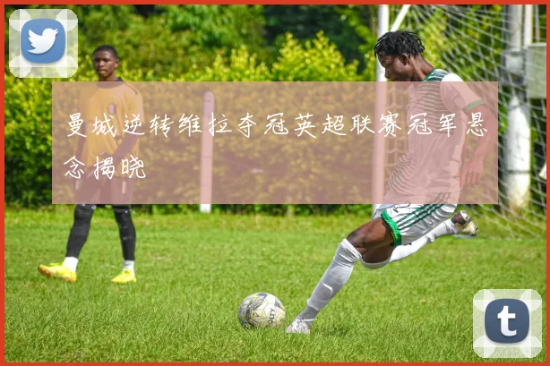 曼城逆转维拉夺冠英超联赛冠军悬念揭晓