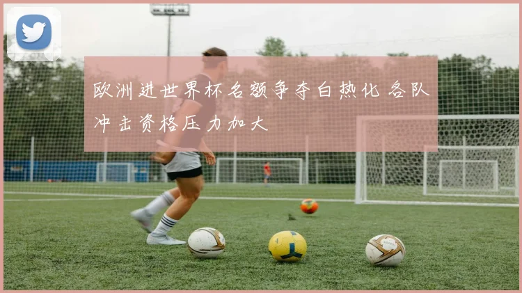 欧洲进世界杯名额争夺白热化 各队冲击资格压力加大