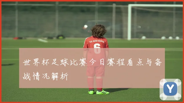 世界杯足球比赛今日赛程看点与备战情况解析